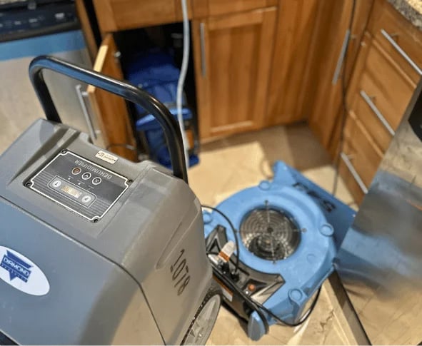 dehumidifier for sewage cleanup