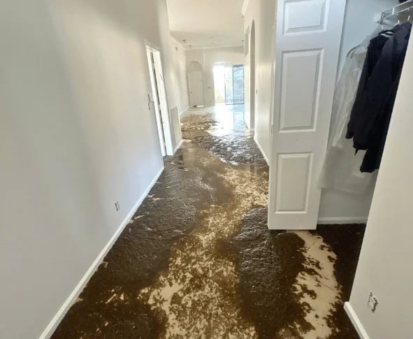 sewage cleanup at home